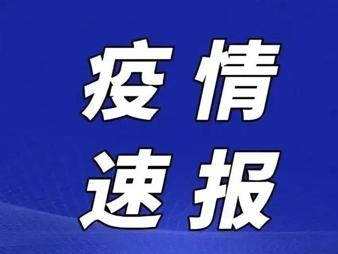 最新疫情播报，每日动态更新，共同应对挑战