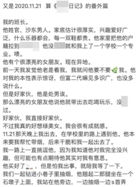 揭秘女公务员日记最终结局深度解析，日记背后的故事与反思