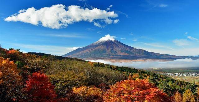 富士山盒子最新地址揭秘，最新动态与秘密揭晓！