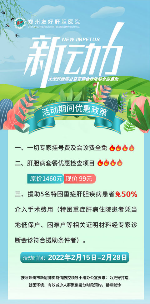 河南最新动态指南，掌握关键信息的步骤解析