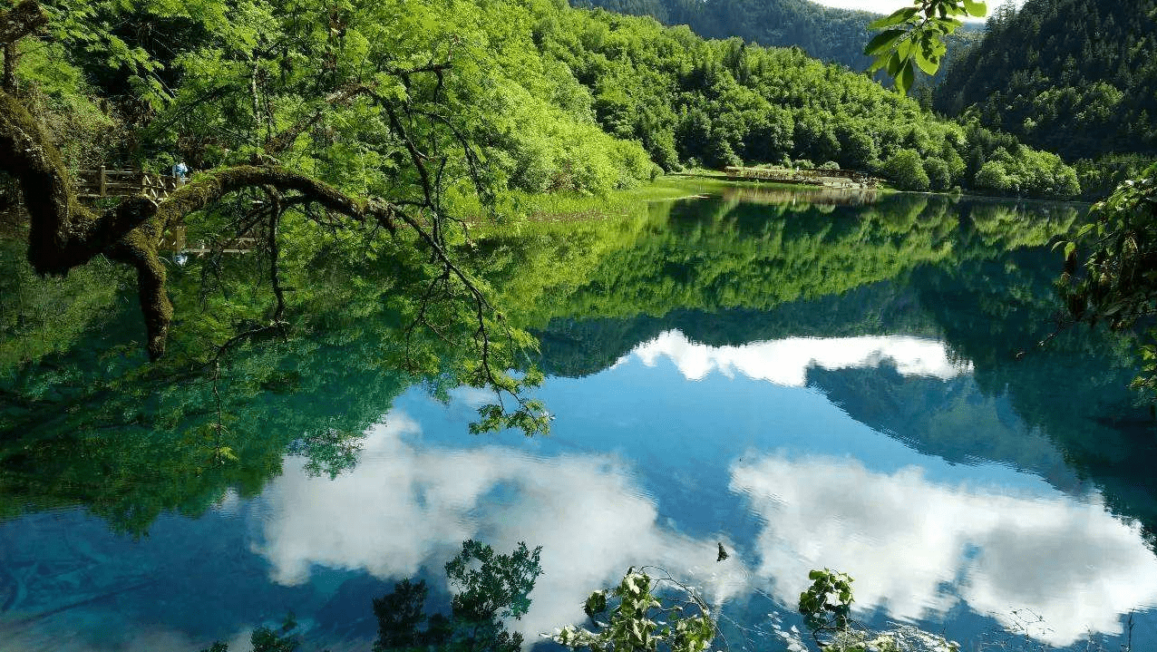 西湖畔隐秘小巷的特色小店，一场惊喜探索之旅