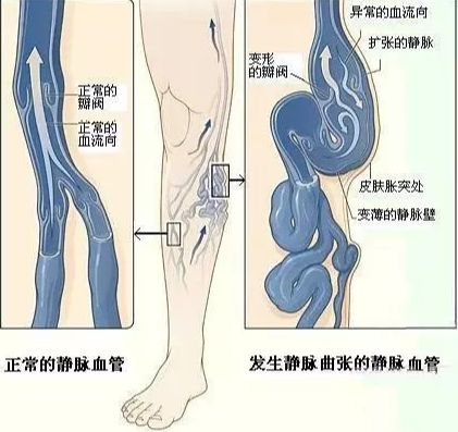 橘虞初梦 第167页