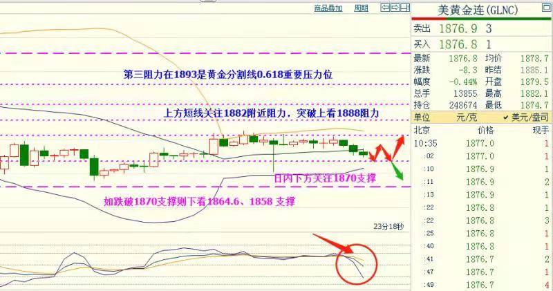 11月黄金期货最新动向，操作分析与探险之旅，探寻内心宁静与自然微笑