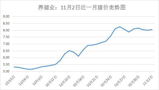 贵州生猪最新价格揭秘，市场走势分析与个人观点分享