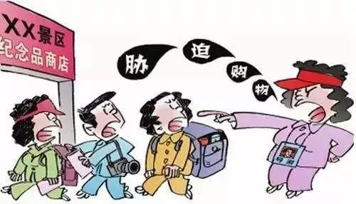 本钢最新动态揭秘，变化中的学习之旅与自信成就之源