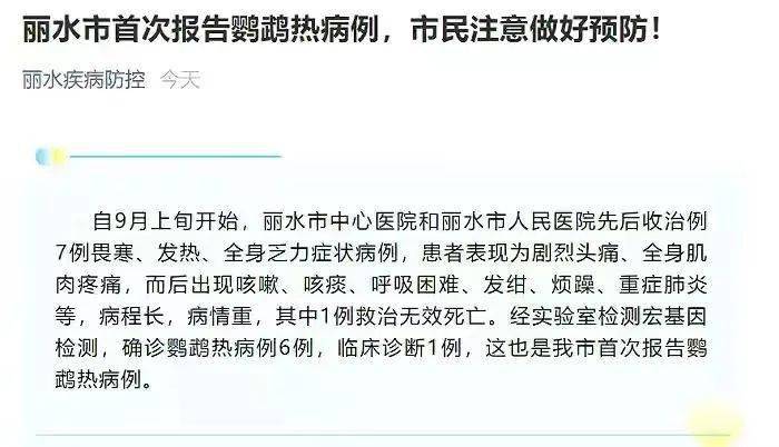 河南疫情下的独特魅力探索之旅，特色小店与死亡病例背后的故事