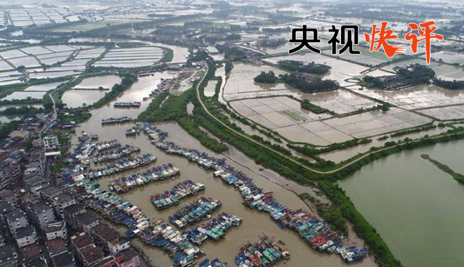 眉山锦地欧城最新消息揭秘，自然之旅的奇妙探险与内心平静的追寻（11月4日更新）