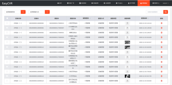 11月5日最新幸福指南，塑造完美生活技能树之路