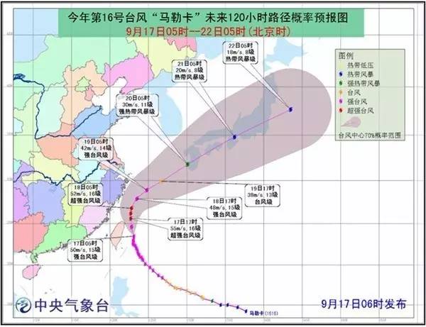 浙江省台风最新动态，风雨中的温馨日常与守护相伴