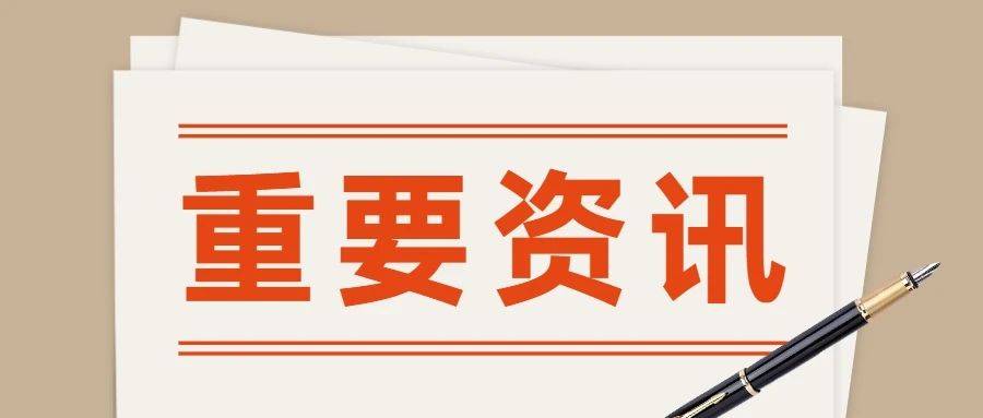 11月5日流行语句深度解析，一场观点之争的启示