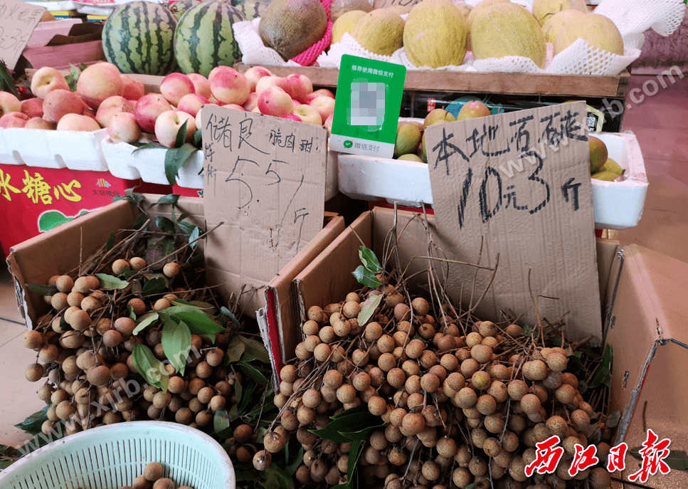 宁波水果店转让最新消息，探寻自然美景之旅的启航点