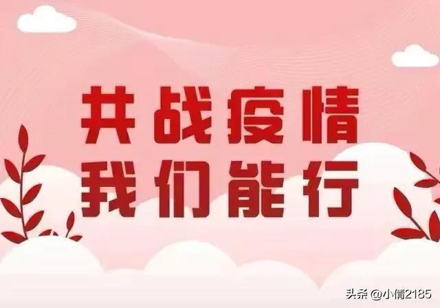 广东新增疫情动态深度解析与案例分析报告（截至11月5日）