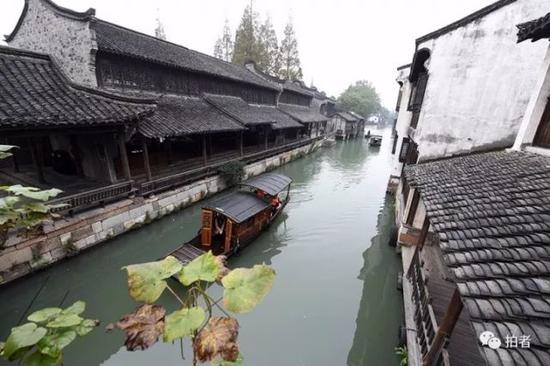 乌镇西栅景区全新酒店探秘，与自然共舞的心灵宁静港湾（11月5日最新资讯）