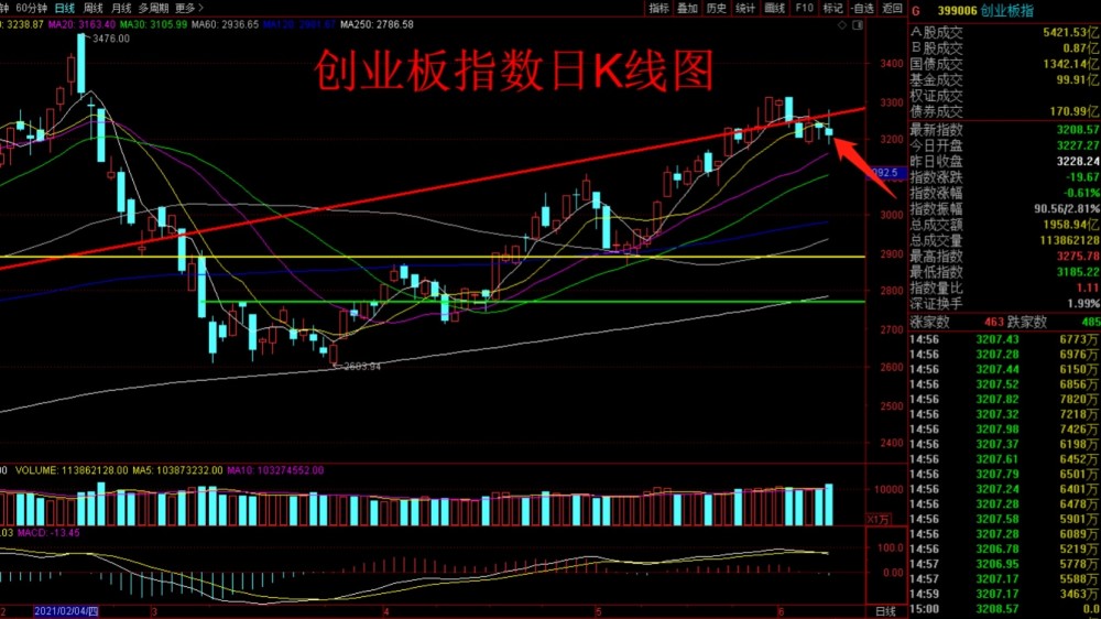 11月6日拢泽萝拉最新作品，全面评测与详细介绍