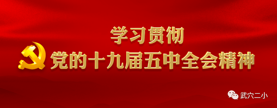 华硕顽石新篇章，变化中的学习，铸就自信与成就（11月6日最新消息）