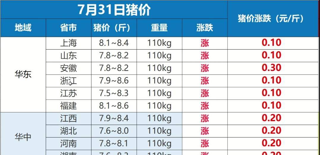 明日（11月7日）全国猪价最新行情概览及走势分析