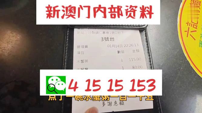 新澳门内部正版资料大全,才华解释解答实施_付费版9.540