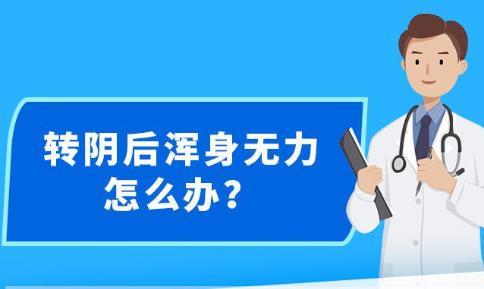 新澳免费资料大全精准版,实际解答执行落实_iPhone54.936