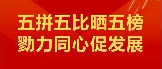 凤川工业区新篇章，11月8日招聘日，友情与机遇的奇妙交汇