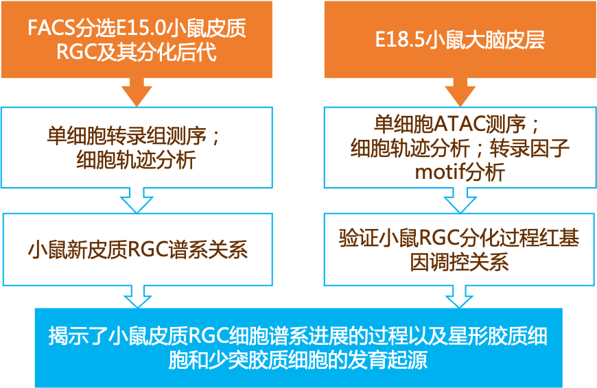 2024新澳彩免费资料,学说解答解释落实_模拟版73.372