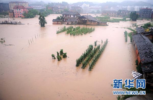 江西暴雨下的彩虹桥，小明的救援日记与最新灾情报告