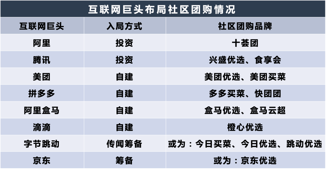 11月8日同生最新网站全攻略，初学者也能轻松掌握使用技巧