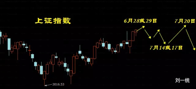 揭秘11月8日虫类市场三大看点，最新行情深度解读