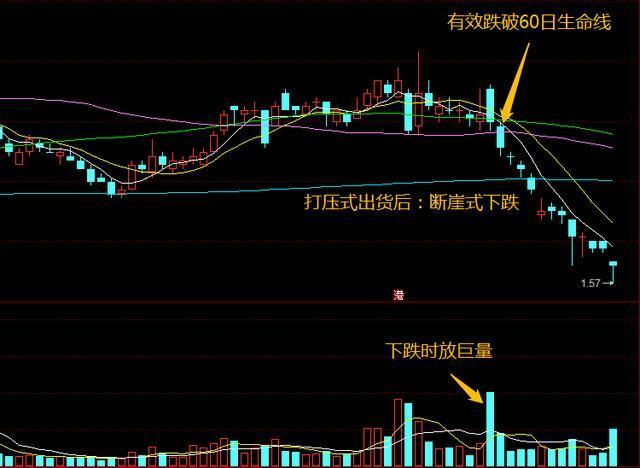 澳门今晚必开一肖一特,综合判断解析解答_领航版875.84