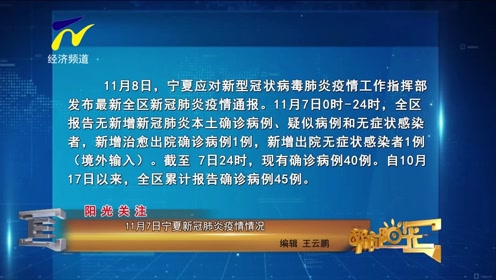 11月8日疫情最新形势分析及全方位应对指南，初学者与进阶用户的必备参考