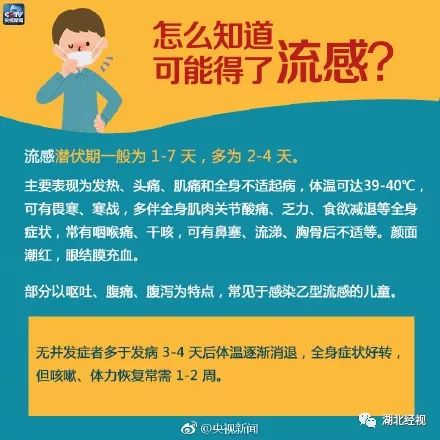 武汉格力最新招聘信息深度评测与介绍，11月8日更新