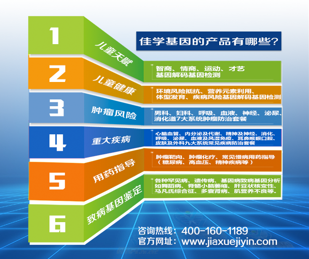 管家婆精准一肖一特预测，安全评估发现漏洞MBC354.51