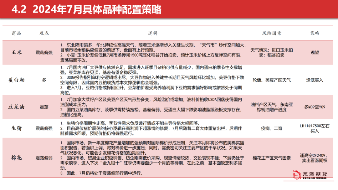 2024新奥官方免费正版资料，安全解读策略：个人版 WCJ404.63