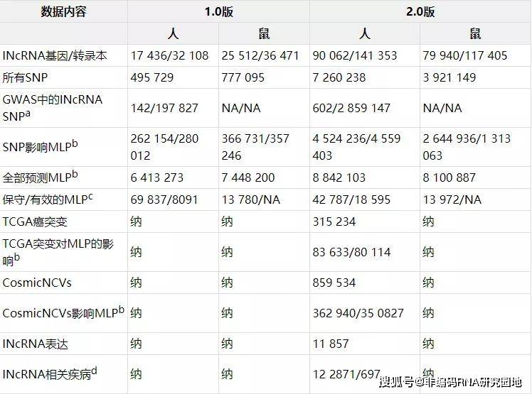 新奥每日免费资料：单双分析，时代资料解读_参与版SNC545.5