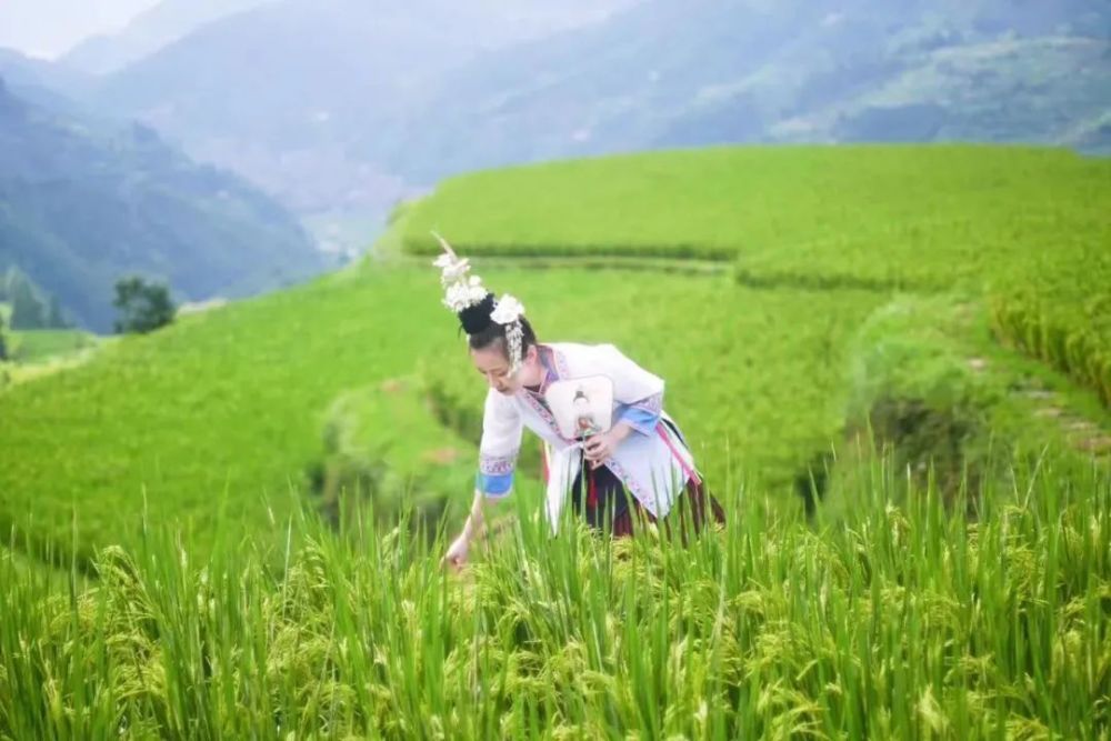 探秘千野草场，秘境探游与小巷美食之旅——11月10日最新资讯