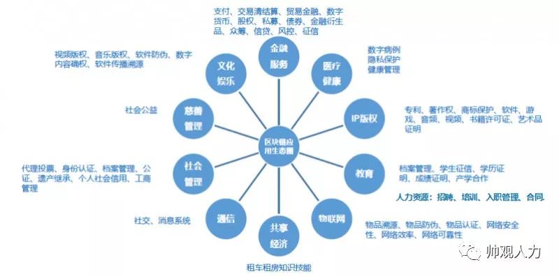 2024澳新正版资料亮点解析：精选特色定义，XLI800.57试点版