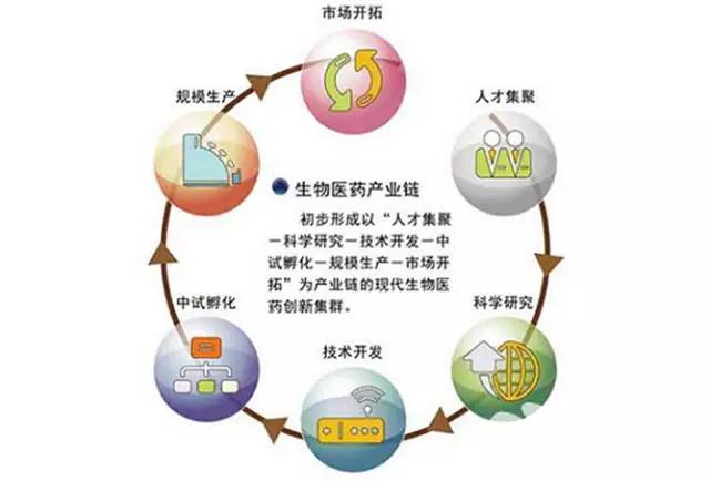 揭秘病毒起源与革命性科技产品，历史上的11月10日回顾与探寻真相