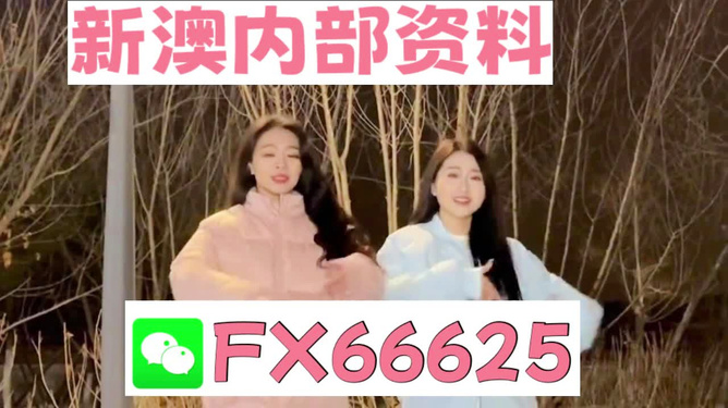 精准管家婆7777788888，社区版LJF619动态词解析