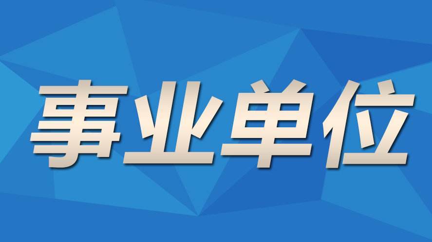 无为县城最新招聘市场深度测评，特性、体验、竞品对比及用户需求洞察