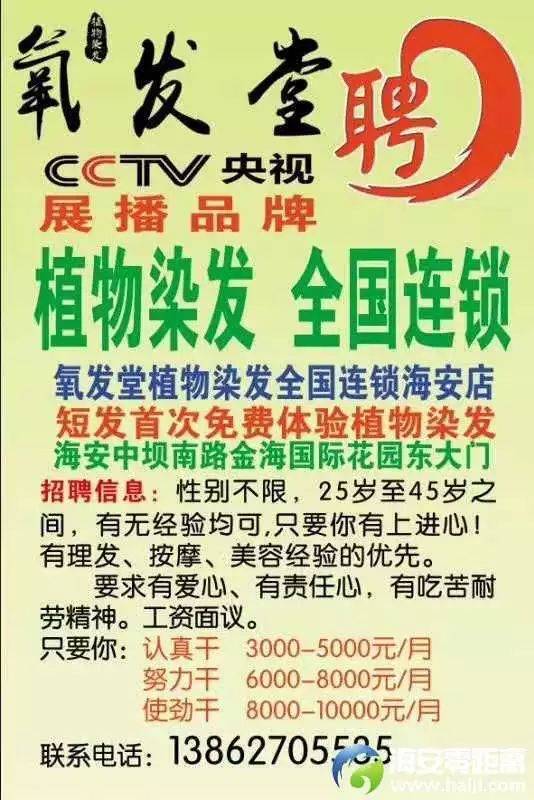 武功县最新招聘信息发布，投身自然，寻找内心的宁静与和谐之旅！