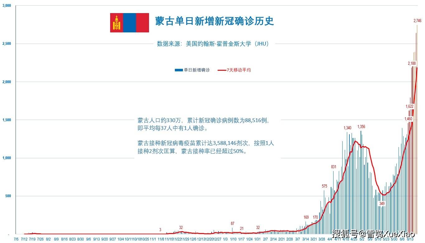 历史上的11月12日偃师疫情全面评测与深度分析，最新动态及影响探讨