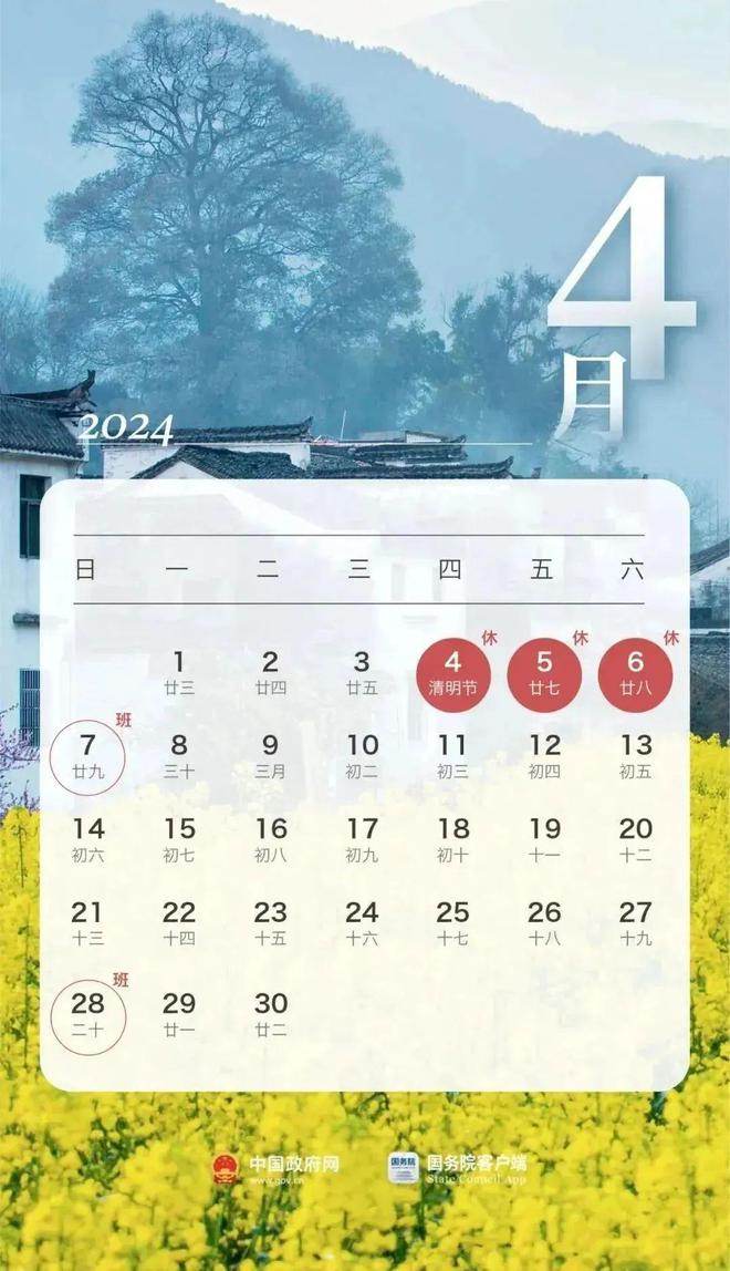 2024年11月12日可爱小说最新章节免费阅读与个人观点分析