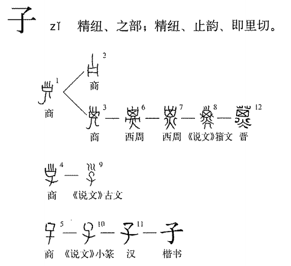 2024全年资料免费大全功能,最佳精选解释_四象境YPZ242.88