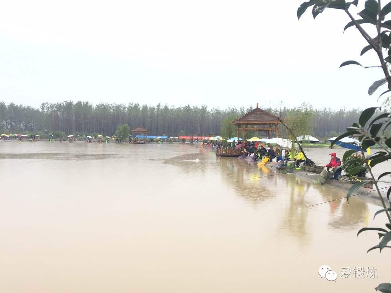 揭秘十一月八卦洲钓鱼新秘境，学习之旅与垂钓盛宴，成就满满自信！