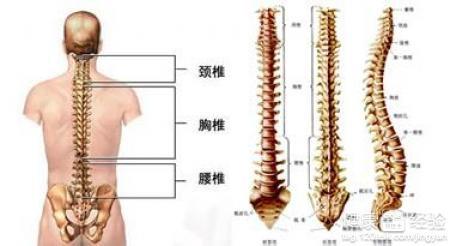 往年11月13日脊髓损伤最新突破揭秘，新突破引领未来希望的日子