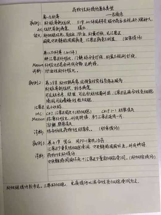 历年11月13日病例更新，探秘小巷特色诊所的神秘篇章