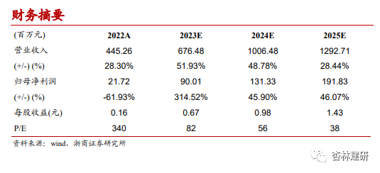 新澳一码内部解读：精准公开与标准执行评价_GIC20.185外观详析