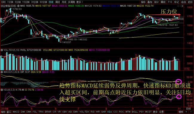 聚焦洛阳房价走势，最新动态与深度分析