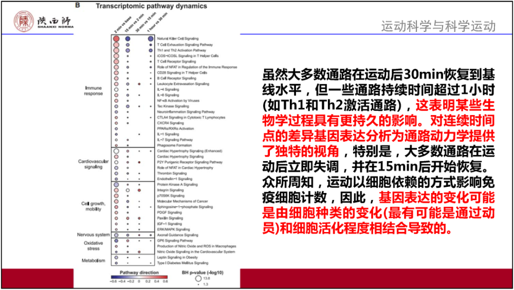 新澳正版资料与内部资料,专业解读方案实施_MIM64.399程序版