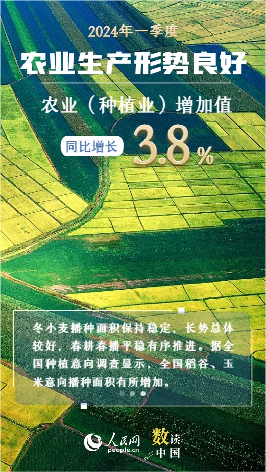 2024全年资料免费大全,快速实施解答研究_DAN64.730专业版