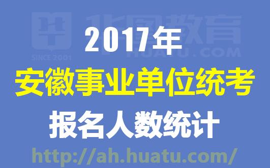 历史上的11月16日桐城工作招聘最新动态深度解析 2017年招聘信息一览